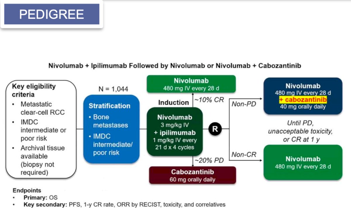 PEDIGREE trial
