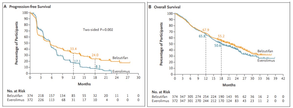 the median overall survival was 21.4 months with belzutifan versus 18.2 months with everolimus (HR 0.92; 95% CI 0.77–1.10;&nbsp;p = 0.18). The Kaplan-Meier figures