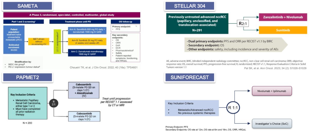 study summary table
