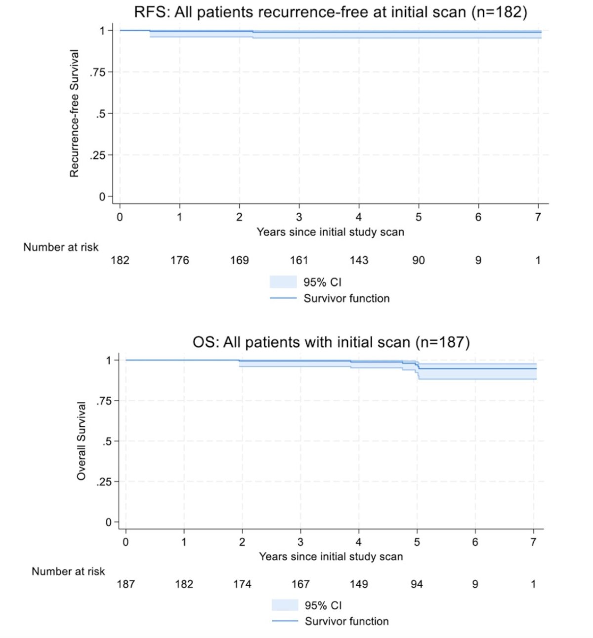 5-year overall survival was 97% (95% CI 92-99) and the recurrence-free survival was 99% (95% CI 95-100)