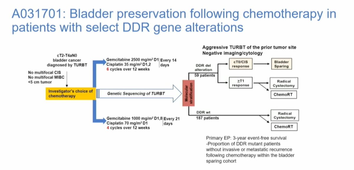 ASTRO 2024: Integrating Novel Therapeutics with Trimodal Therapy (TMT)