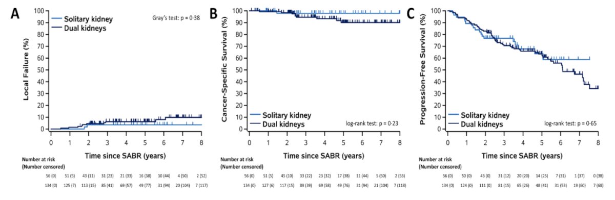 From an efficacy standpoint, there do not appear to be any differences in local failure rates, cancer-specific survival, or progression-free survival among patients with solitary versus dual kidneys receiving SABR.