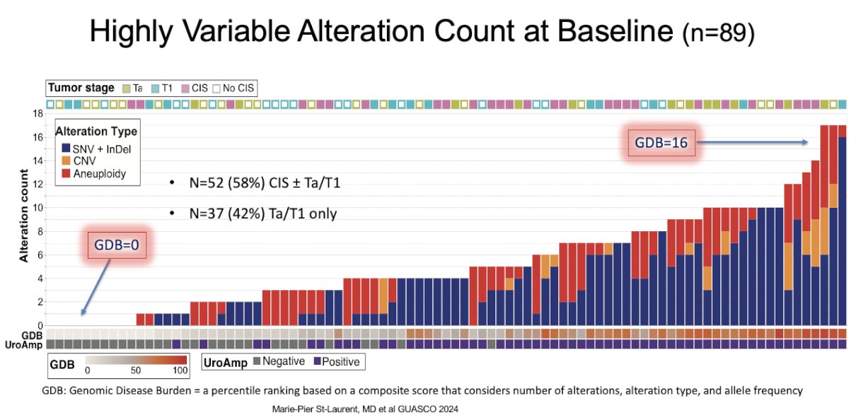 Presented at ASCO GU 2024, St-Laurent et al. demonstrated that urinary comprehensive genomic profile (uCGP) at baseline and after 4 cycles of atezolizumab treatment can identify genomic patterns associated with an increased risk of high-grade disease persistence, recurrence or progression in BCG-unresponsive NMIBC treated with immune checkpoint inhibition.
