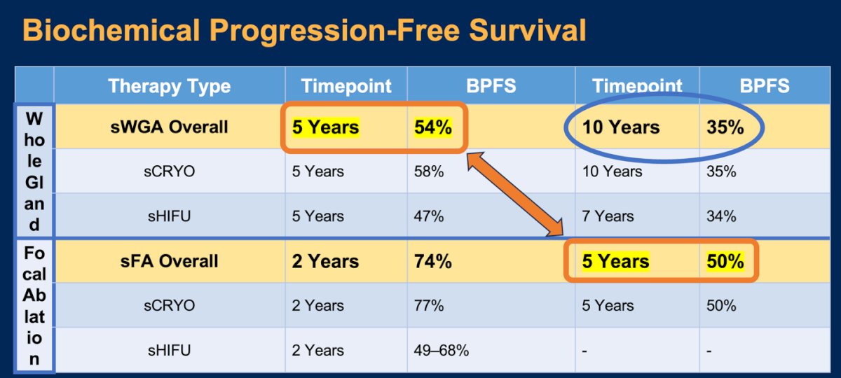 In terms of biochemical progression-free survival (BPFS), the 5- and 10-year BPFS for salvage whole gland ablation (sWGA) was 54% and 35%, respectively. In patients treated with salvage focal ablation (sFA), the 5-year BPFS was 50%, which is comparable to the whole gland approach. Notably, 34 studies reported the use of neo-adjuvant androgen deprivation therapy (neo-ADT), which was administered to 42% of the total study population, with a duration of 3 to 6 months. The 5-year BPFS was significantly different between patients who received neo-ADT and those who did not: 56% without neo-ADT versus 29% with neo-ADT (p < 0.01).