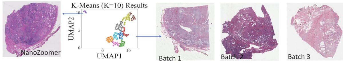 image-1.jpg