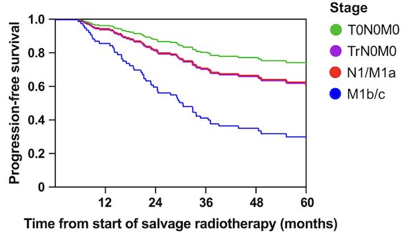 Patients with no visible disease (miT0N0M0) had the most favorable PFS (aHR relative to the M1b-c cohort, 0.25), followed by those with local recurrence (TrN0M0) and N1/M1a disease (aHR relative to M1b-c, 0.39 for both).