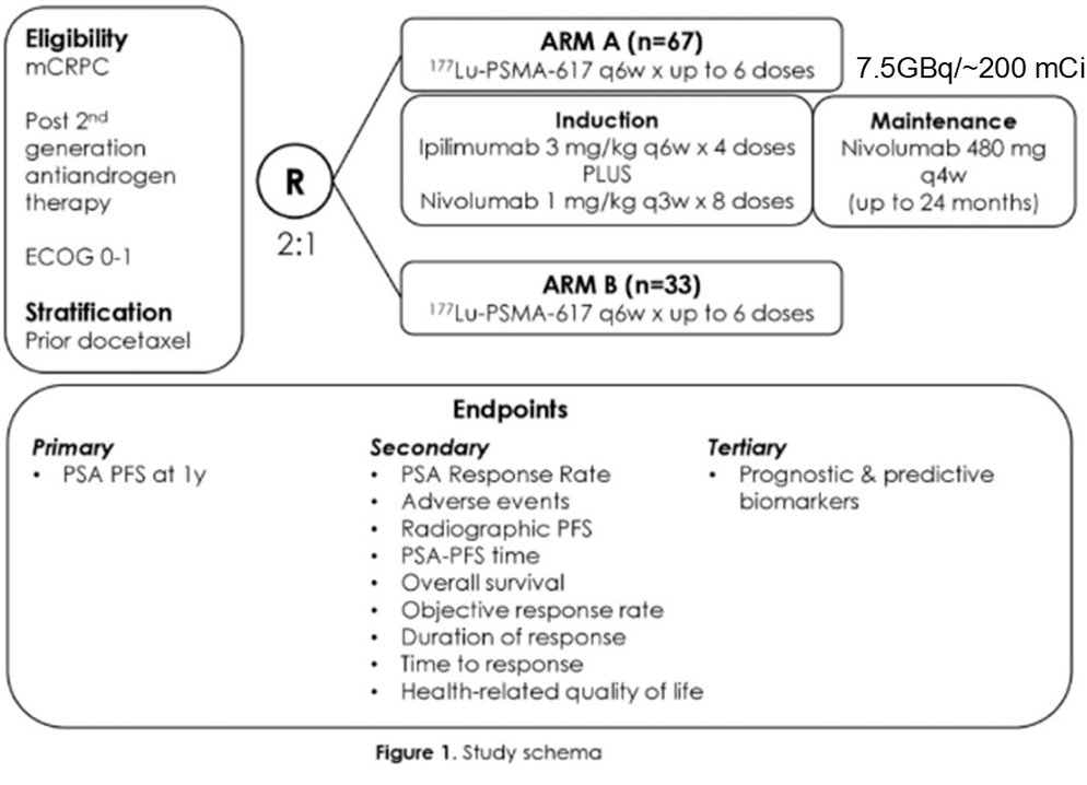 Part B had an objective response rate of 56% (14/25) and 5% (2/43) had a treatment-related adverse event of grade 3 or worse. There was one serious adverse event (one death due to aspiration pneumonia) and no treatment-related deaths were observed. Dr. Surasi also highlighted the phase II ongoing EVOLUTION trial, which is randomizing patients 2:1 to Arm A 177Lu-PSMA-617 + induction ipilimumab + nivolumab versus Arm B 177Lu-PSMA-617:
