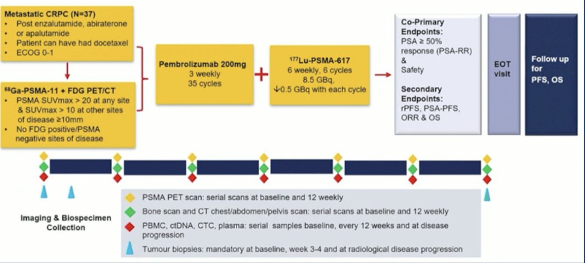PRINCE is a phase 1 trial of 177Lu-PSMA-617 in combination with pembrolizumab in mCRPC, first presented at ESMO 2021. The trial design for PRINCE is as follows: