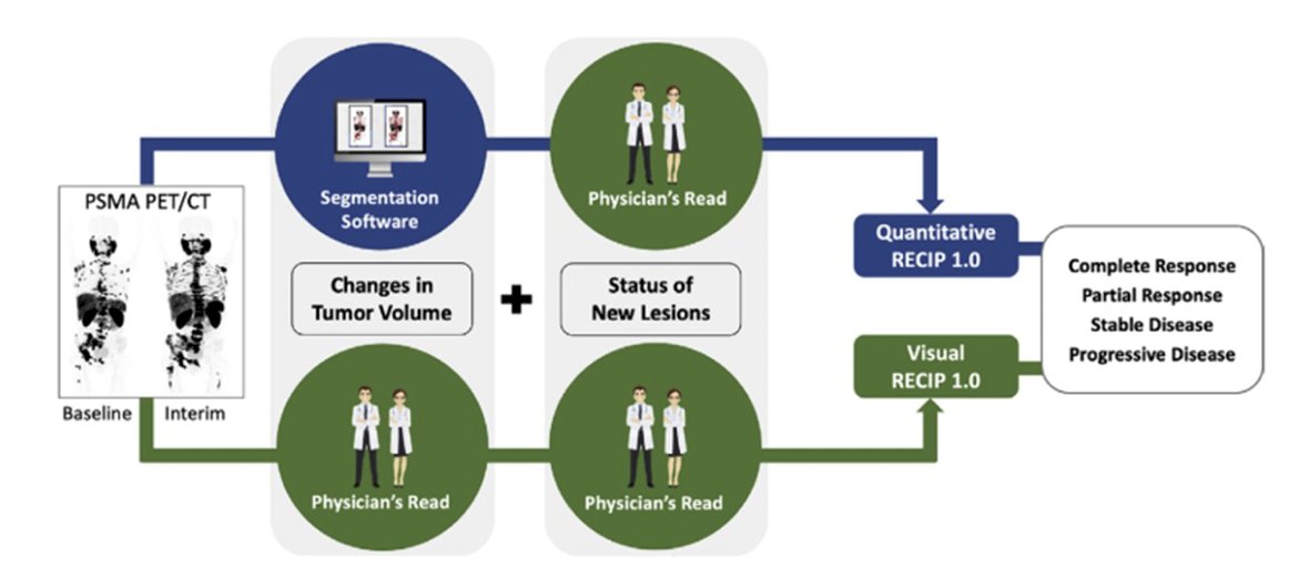 RECIP 1.0 combines changes in PSMA positive total tumor volume and the occurrence of new lesions. Changes in total tumor volume can be determined quantitatively by using tumor segmentation software and combined with occurrence of new lesions to calculate quantitative RECIP. Changes in total tumor volume can be determined qualitatively by nuclear medicine physicians and combined with the occurrence of new lesions to calculate visual RECIP: