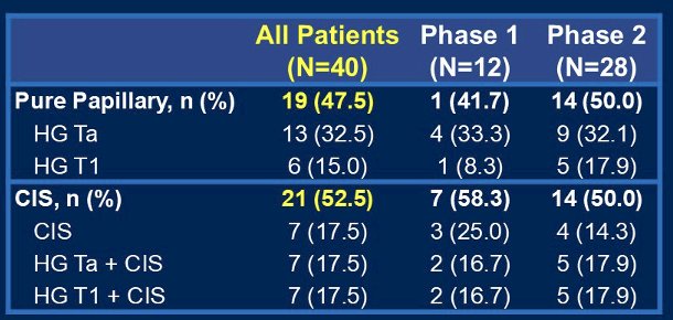 48% of patients had pure papillary disease (HG Ta or T1), and 53% had CIS disease (CIS +/- HG Ta or T1).