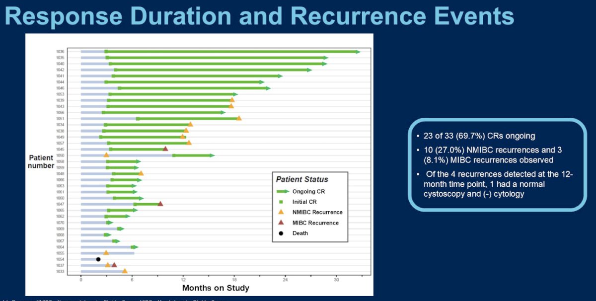 23/33 (70%) CRs are ongoing. 10 (27%) NMIBC recurrences and 3 (8%) MIBC recurrences were observed. Of the 4 recurrences detected at the 12-month time point, 1 had a normal cystoscopy and (-) cytology.