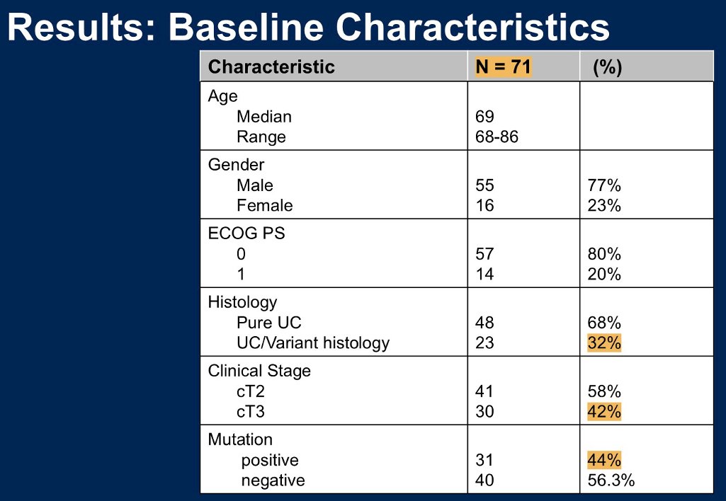A total of 80 patients were treated over 40 months at four academic centers and 71 were evaluable per protocol. The median age was 69 years (range: 66-86), 77% were male, 80% had ECOG PS 0 and 87% were cT2.