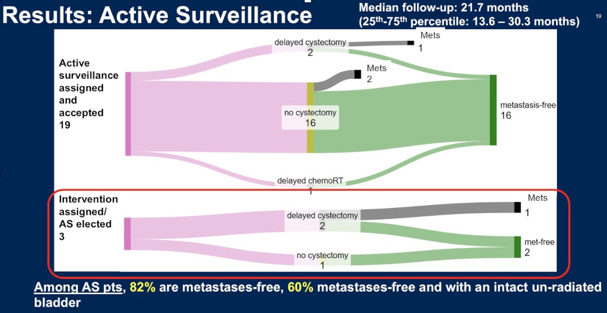 Of the 19 patients who were assigned to and accepted AS, 16 (84%) remained intervention-free after 21.7 months median follow-up (2 underwent cystectomy, 1 chemoradiotherapy). Two patients who remained intervention-free developed metastases, and 1/2 who underwent a delayed cystectomy developed metastases. Among AS patients, 82% remained metastases-free, and 60% remained metastases-free and with an intact/un-radiated bladder.