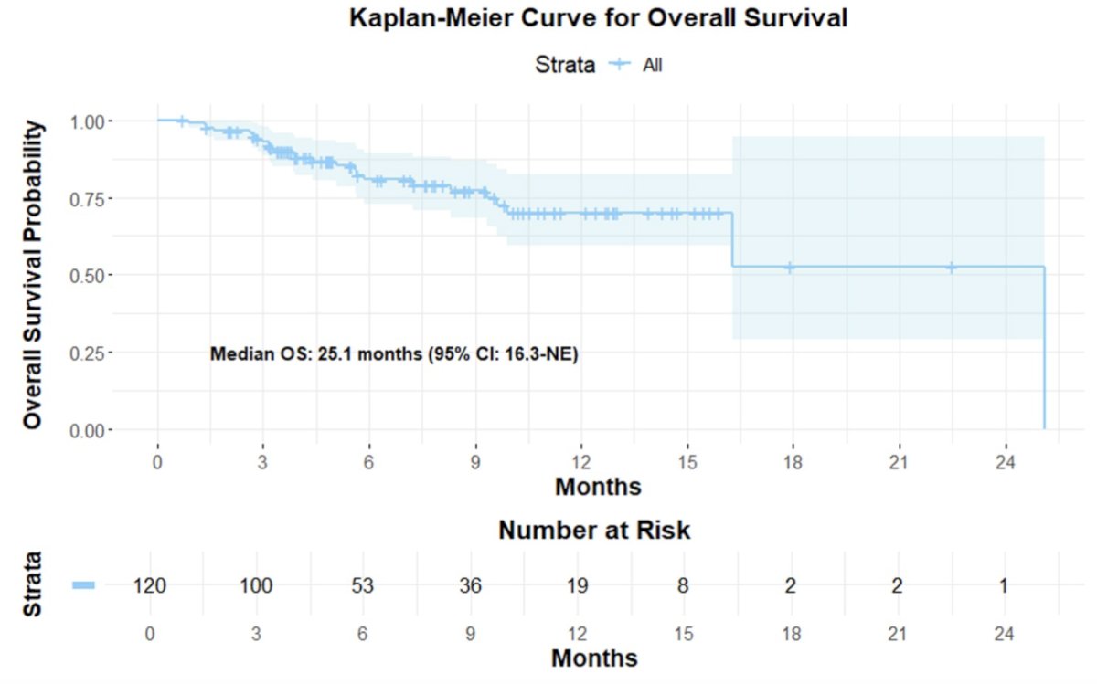 The median overall survival was 25.1 months (16.3-NE):