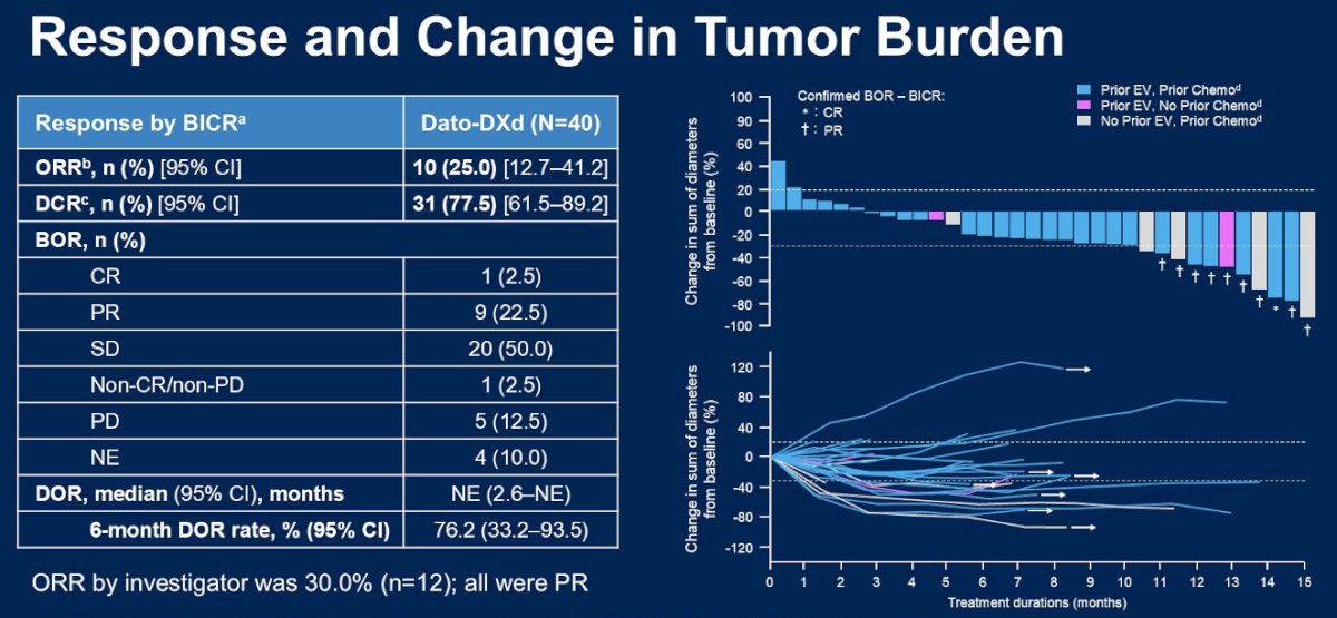 In the overall cohort, the objective response rate (ORR) was 25%, and the disease control rate (DCR) was 77.5%. One patient (2.5%) had a complete response, and nine patients had a partial response (22.5%). The median duration of response was not evaluable at this interim analysis, but the 6-months duration of response rate was 76.2%.