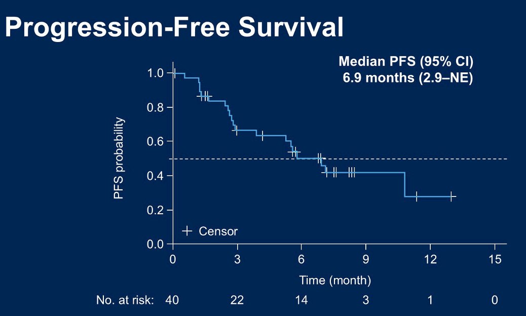 The median progression-free survival (PFS) was 6.9 months: