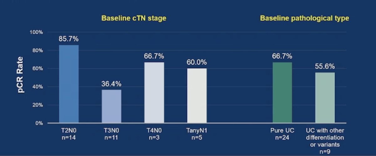 A higher pathological complete response rate of 84.6% was observed in patients with HER2 IHC 3+. The pathological complete response rate for the T2N0 patients appeared to be higher than those for the other subgroups, and rates were generally consistent between patients with pure urothelial carcinoma and patients with urothelial carcinoma with other differentiation or variants