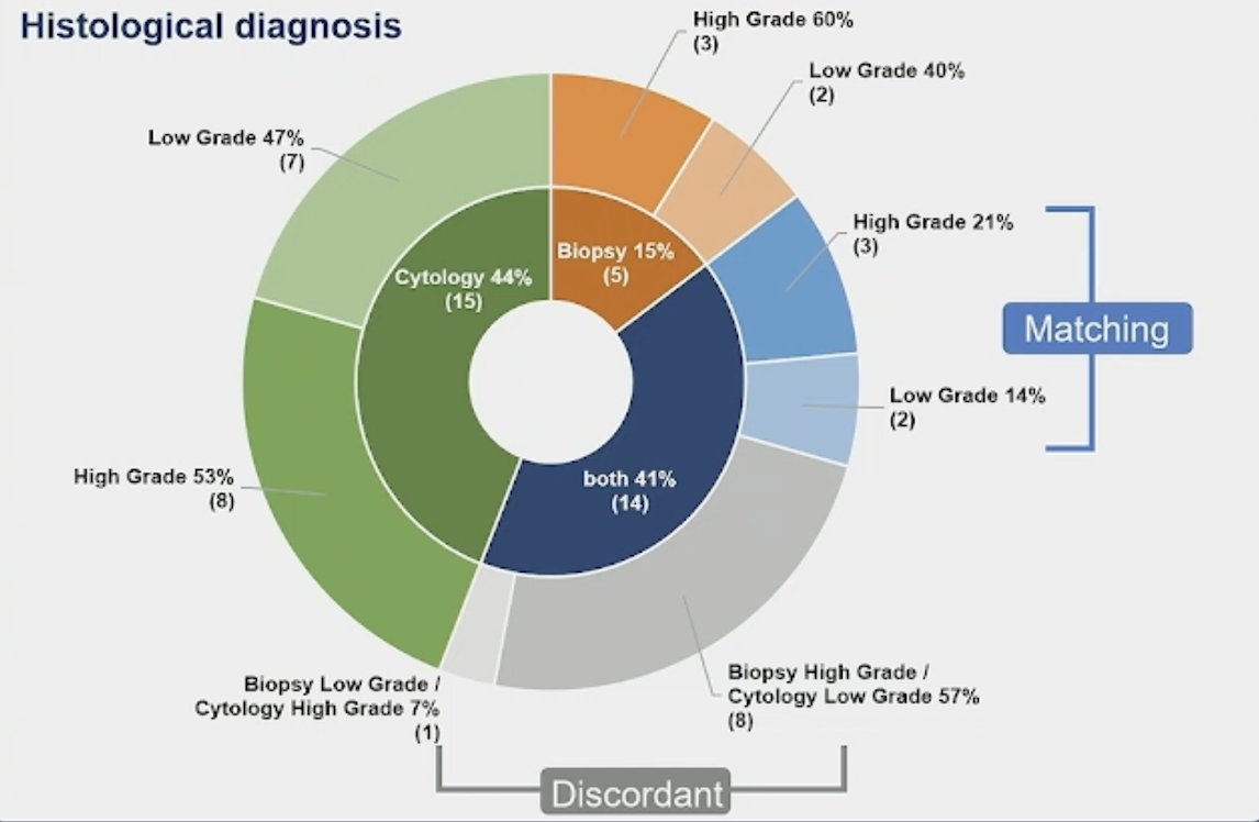 A total of 50 patients were enrolled between 2021 and 2023 (30 in cohort 1 – cisplatin/gemcitabine + durvalumab; 19 in cohort 2 – carboplatin/gemcitabine + durvalumab; 1 patient withdrew consent). The median age was 68 years of age (range 38-79) and 59% were males. Overall, 90% of patients (n = 44) received 4 cycles of treatment, 3 patients received 3 cycles, and 2 patients received 2 cycles. Five patients switched to carboplatin during chemotherapy. The results for the pre-trial histologic diagnosis are highlighted as follows: