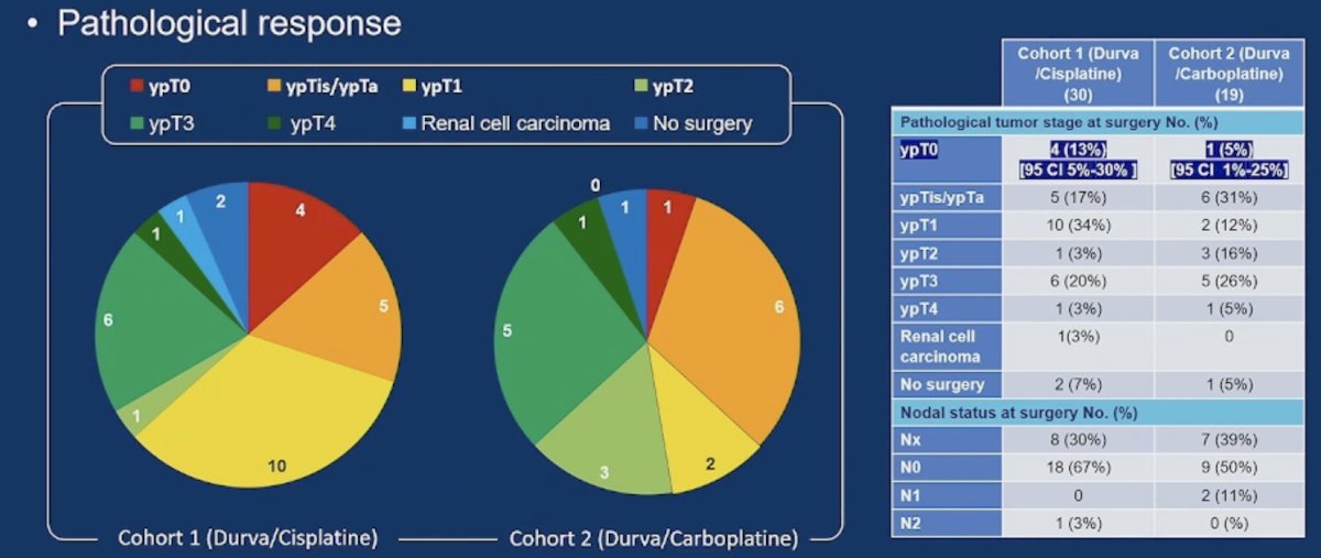 The pathologic complete response rate was 13% (95% CI 5%-30%) in cohort 1 and 5% (95% CI 1%-25%) in cohort 2. The complete pathological response outcomes are as follows