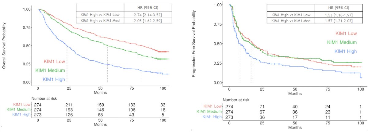 Higher baseline KIM-1 was associated with worse overall and progression free survivals, even after adjustment for IMDC risk and baseline tumor burden in multivariable models.