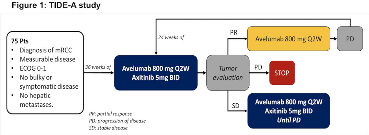 Patients with confirmed mRCC, prior surgery for the primary tumor, no symptomatic/bulky disease or liver metastases, ECOG 0/1, and measurable disease were enrolled. Treatment consisted of Avelumab 800 mg IV Q2W plus Axitinib 5 mg PO BID for 36 weeks. At week 36, patients who achieved a partial response (PR) interrupted Axitinib and continued Avelumab until disease progression (PD) or unacceptable toxicity. If PD occurred while on Avelumab, Axitinib was restarted and interrupted again upon achieving a new PR. Patients who did not achieve PR at week 36 continued combination therapy until PD. The study design is shown below.