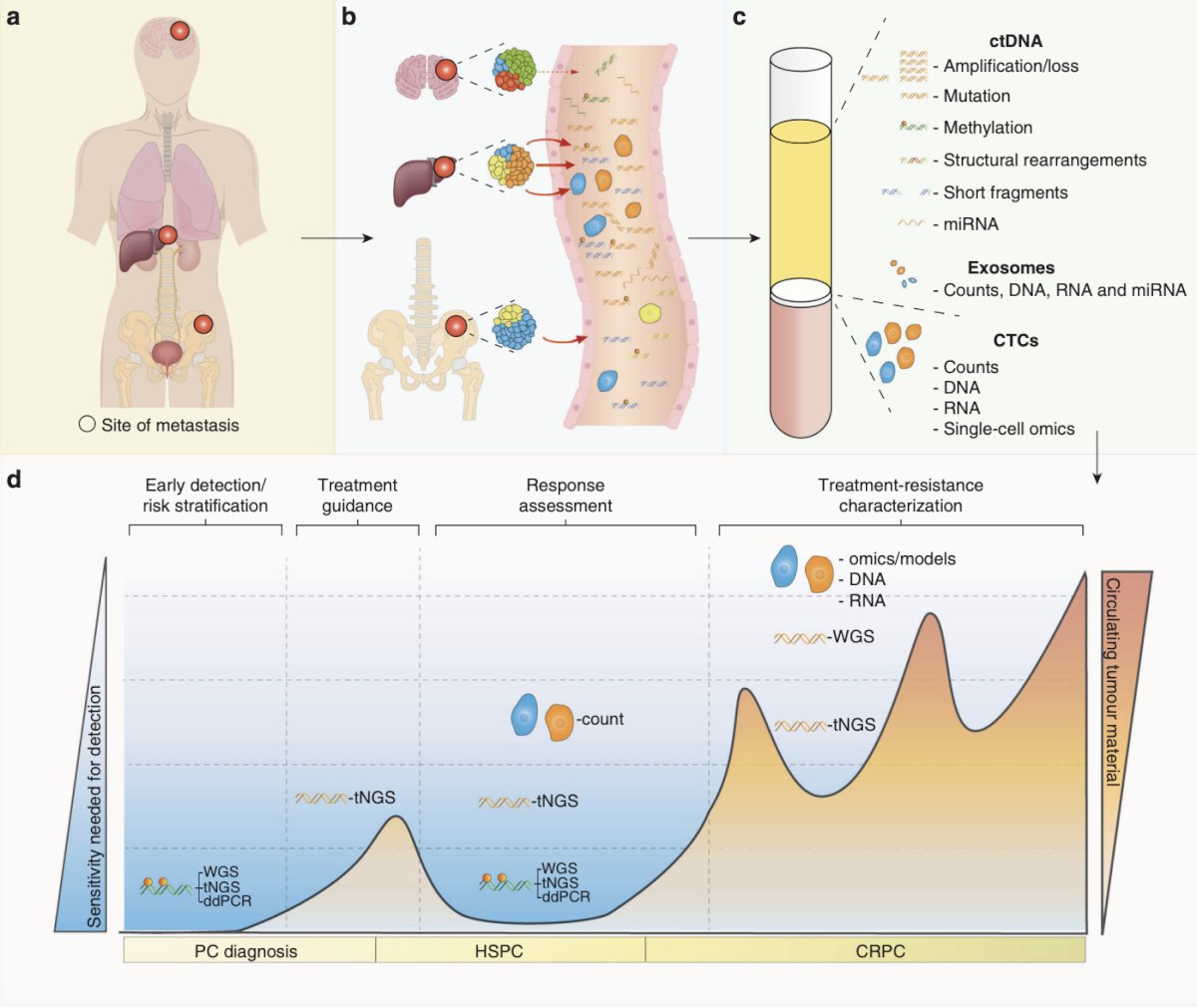 new fashion blood biomarkers” really means a liquid biopsy, with the following figure highlighting tumor features, clinical utility, and challenges of liquid biopsy