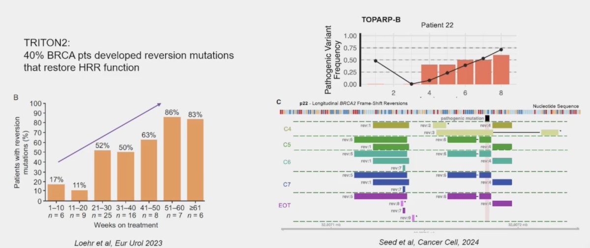 Finally, Dr. Castro discussed that ctDNA can be used to monitor disease evolution, specifically early identification of treatment resistant to PARP inhibitors, which has been shown in the TRITON2 and TOPARP-B trials