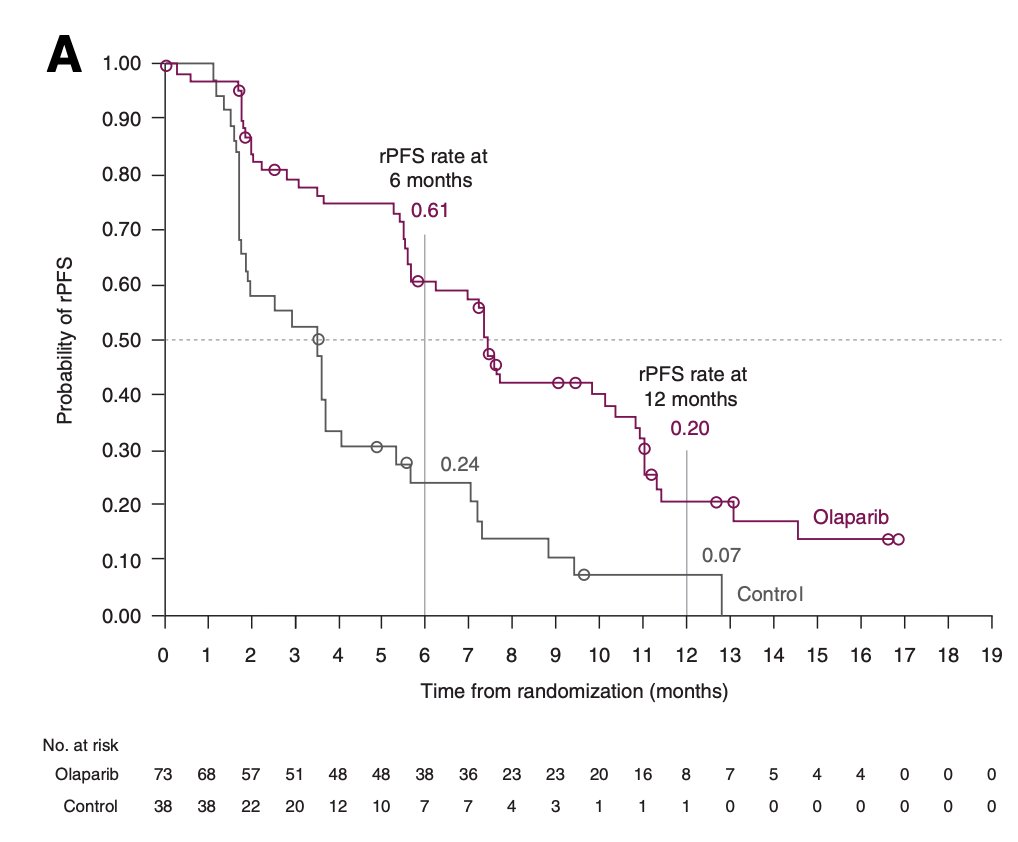 There is high concordance between ctDNA and tissue analyses, and Dr. Castro notes that detection of predictive biomarkers in ctDNA is now feasible. In the PROfound trial [4], of the 181 (73.9%) Cohort A patients who gave consent for plasma sample ctDNA testing, 139 (76.8%) yielded a result and BRCA/ATM alterations were identified in 111 (79.9%). Of these, 73 patients received olaparib and 38 received control. Radiographic progression free survival was longer in the olaparib group versus control (median 7.4 versus 3.5 months; HR 0.33, 95% CI 0.21-0.53), which was consistent with Cohort A ITT population (HR 0.34; 95% CI, 0.25-0.47)