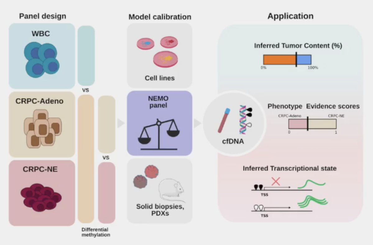 In 2024, Franceschini et al.2 reported results of their targeted DNA methylation assay to detect castration-resistant neuroendocrine prostate cancer using plasma cell free DNA