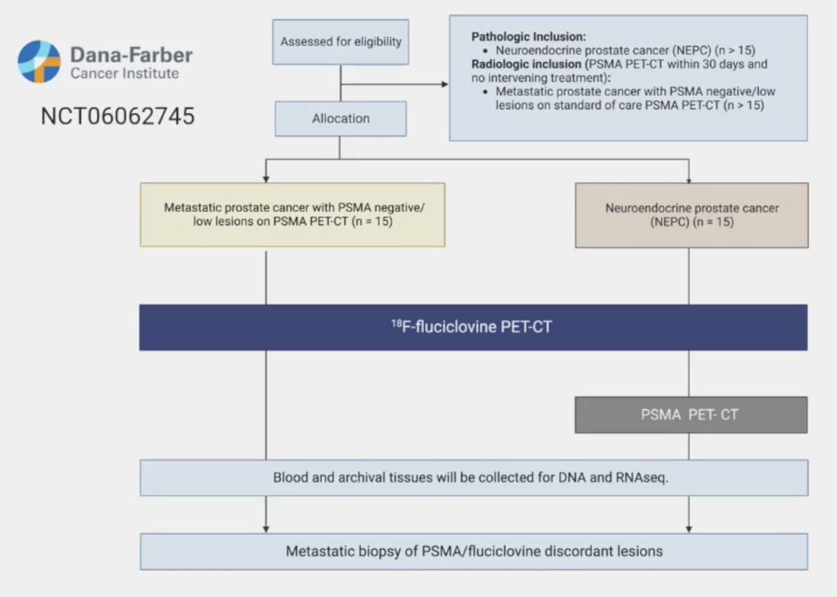 Finally, Dr. Beltran highlighted a pilot study for detection of PSMA-low castration resistant and neuroendocrine prostate cancer with 18F-fluciclovine PET/CT imaging that is being done at her institution, the Dana-Farber Cancer Institute