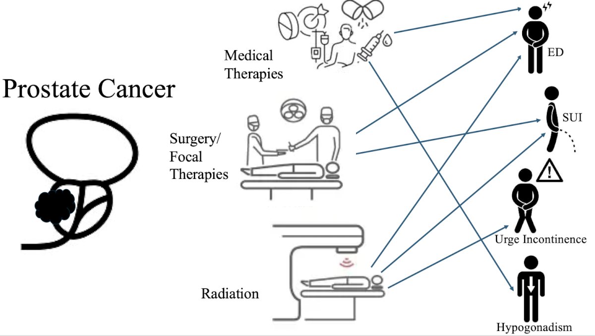Ultimately, all aspects of prostate cancer treatment lead to side effects (erectile dysfunction, stress urinary incontinence, urge incontinence, hypogonadism, etc) and require a multi-disciplinary approach, which Dr. King has built at her center