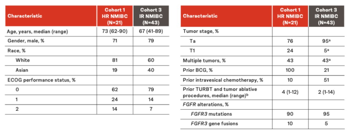 Data from 21 patients in Cohort 1 and 43 patients in Cohort 3 who have been treated with TAR-210 were presented. The baseline characteristics are shown in the table