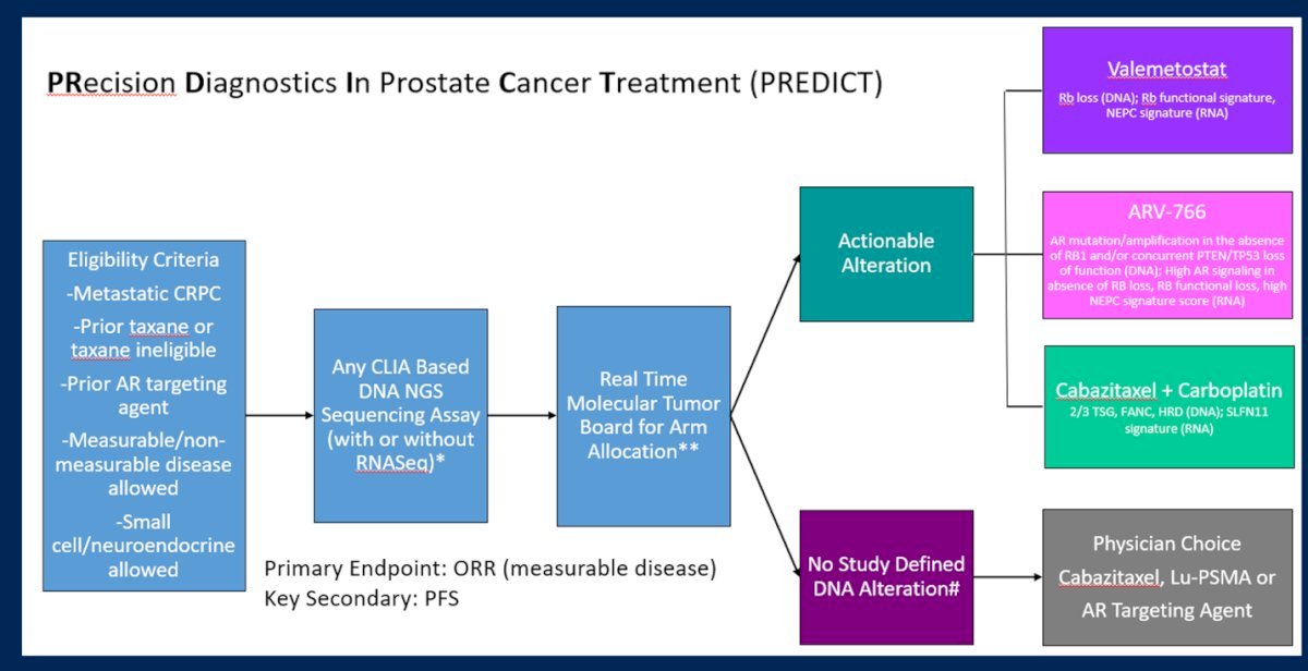 Dr. Beltran then highlighted the Alliance A032102 PRecision Diagnostics In Prostate Cancer Treatment (PREDICT) trial, of which she is a co-PI with Dr. Rana McKay