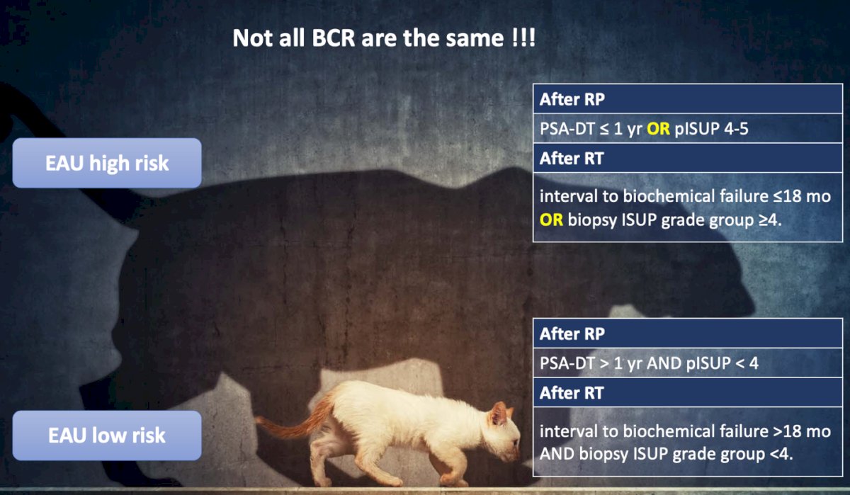 According to the EAU BCR risk classification, high-risk biochemical recurrence (BCR) includes patients with a PSA doubling time (PSA-DT) ≤1 year or pISUP grade 4-5 after radical prostatectomy (RP) and an interval to biochemical failure ≤18 months, or those with a biopsy ISUP grade group ≥4 after radiotherapy (RT).