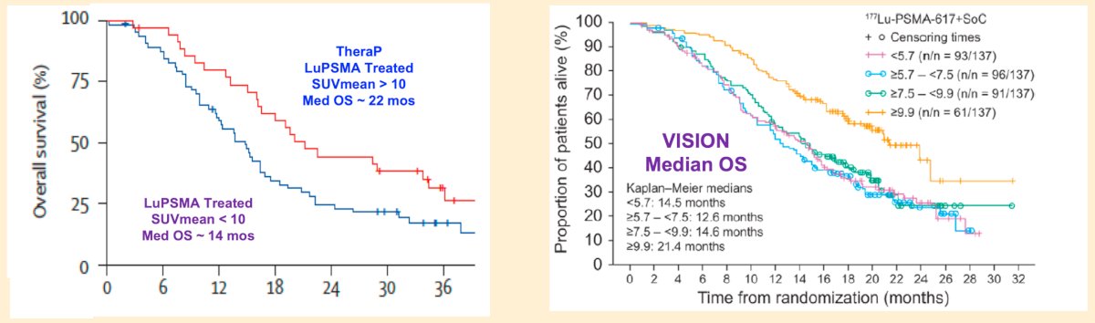 For LuPSMA radioligand therapy, previous work from TheraP [1] and VISION [2] has assessed the value of SUVmean on overall survival. For patients with SUVmean > 10 and treated with LuPSMA, the median overall survival is ~21 months (approximately 30% of patients enrolled) and without LuPSMA treatment overall survival is ~15 months. For patients with SUVmean < 10 and treated with LuPSMA, the median overall survival is ~14 months (approximately 70% of patients enrolled) and without LuPSMA treatment overall survival is ~12 months