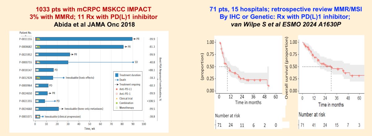 Dr. Sweeney notes that there is some associated toxicity with PARP inhibitors, in particular a notably high rate (42%) of blood transfusions in TALAPRO-2, and an unclear rate in the use of PARP inhibitors at the time of progression, especially in patients with BRCA mutation. Although rare, an MMRd mutation should be considered for PD1 inhibition, with the aim to access this option via a disease agnostic approval. Although toxicity goes up and efficacy goes down in the real world, the data is still encouraging
