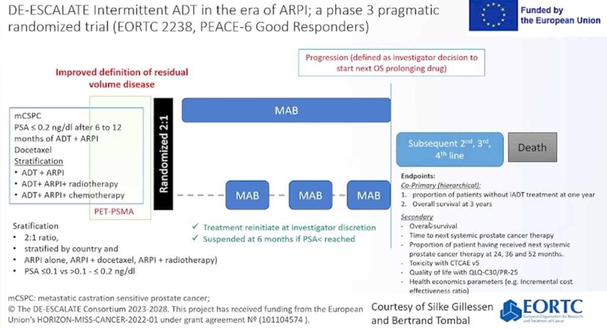 For poor responders, a trial intensifying treatment with Lu-PSMA has already begun. For good responders, a separate randomized controlled trial,&nbsp;DE-ESCALATE, is being planned under the EORTC to evaluate treatment de-escalation strategies.