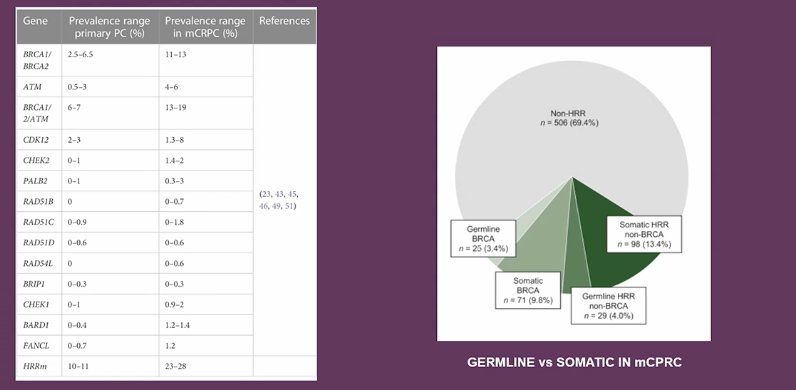 For BRCA1/2, the prevalence in early-stage disease ranges between 2-6%, while in mCRPC, it increases to 11-13%. Additionally, approximately 30% of these alterations are found in the germline setting, and up to 69% of mCRPC patients don’t have HRR mutations, reinforcing the need for comprehensive genomic profiling to guide clinical decision-making.