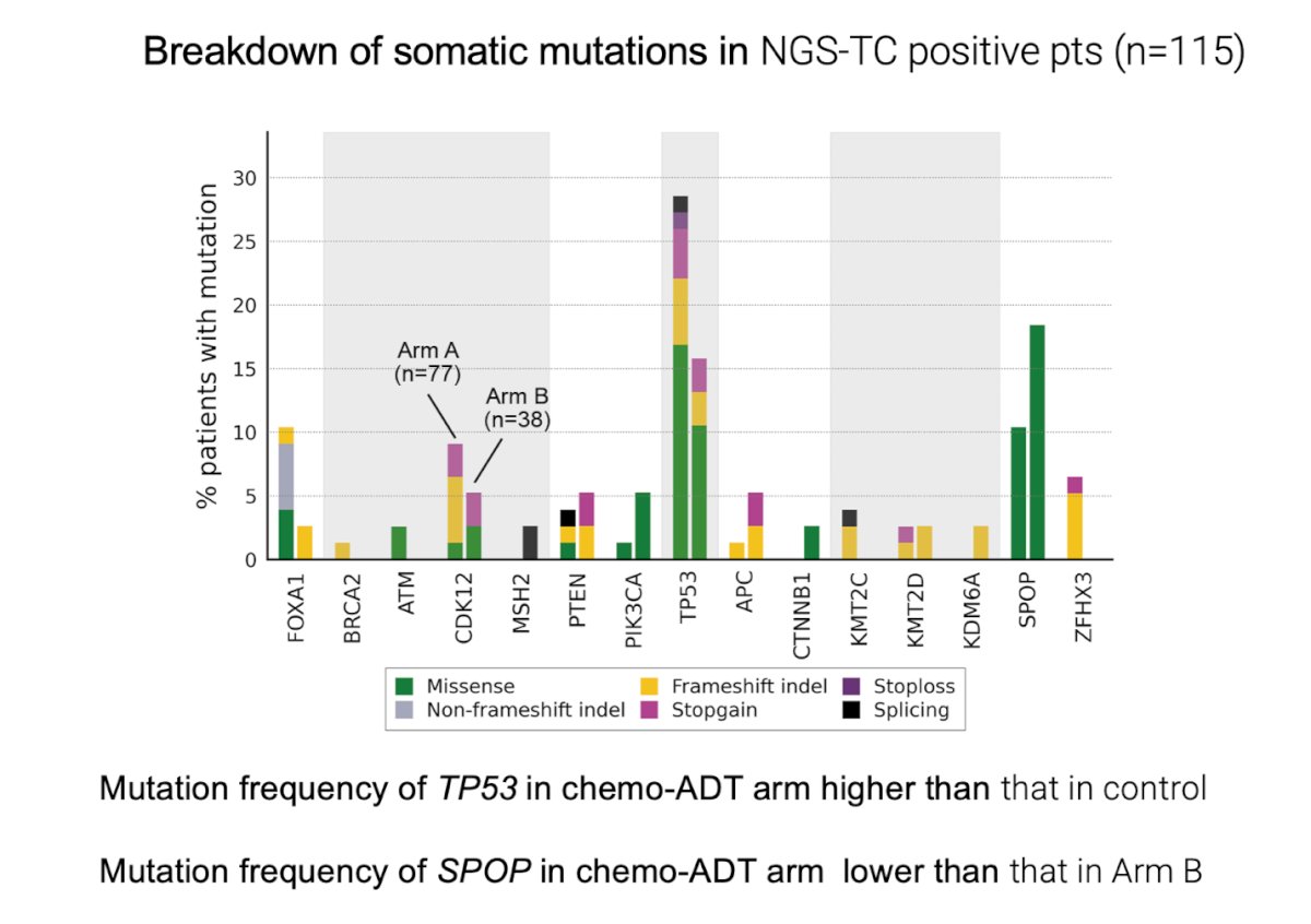 In two studies evaluating the molecular characterization of genomic alterations after neoadjuvant treatment, the Phase III CALGB 90203 (Alliance) trial assessed neoadjuvant chemohormonal therapy. Investigators found that the mutation frequency of TP53 was higher in the chemotherapy-ADT arm compared to the control, while the mutation frequency of SPOP was lower in the chemotherapy-ADT arm than in Arm B
