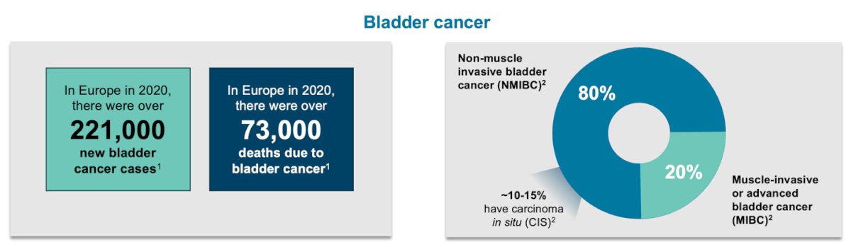 In 2020, over 221,000 new cases of bladder cancer were diagnosed in Europe, with 80% classified as non-muscle invasive bladder cancer (NMIBC), including 10–15% cases of carcinoma in situ. Meanwhile, 20% of cases were muscle-invasive or advanced bladder cancer. That same year, more than 73,000 deaths from bladder cancer were recorded in Europe