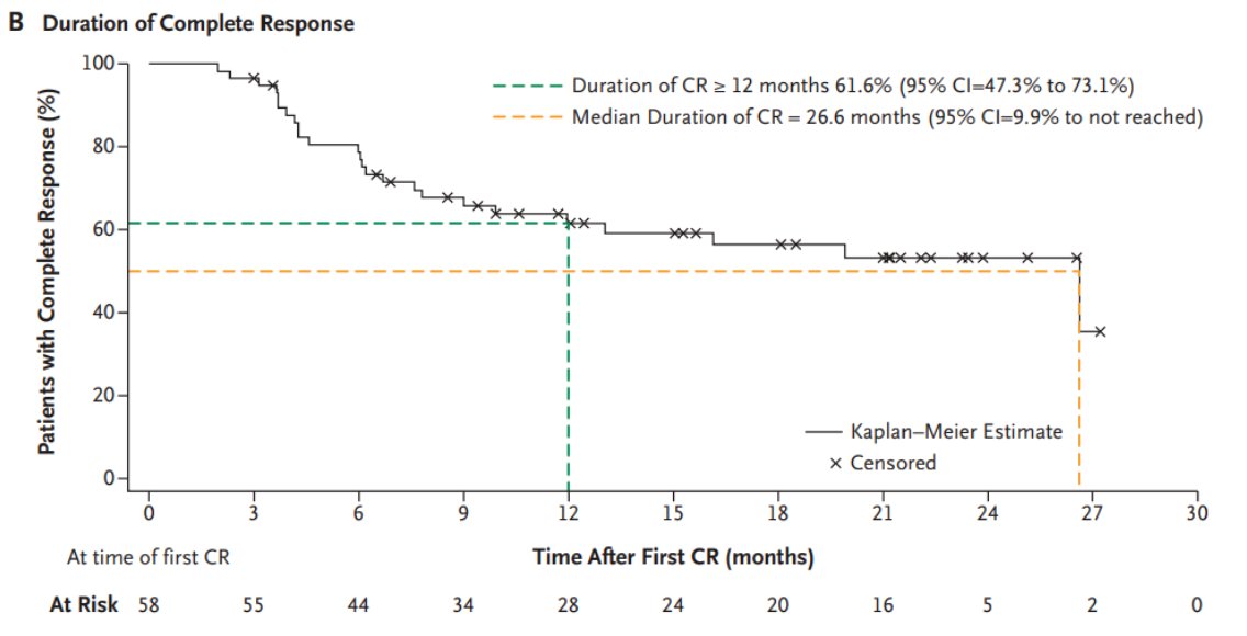 The median duration of response in complete responders was 26.6 months. The 24-month progression-free survival rates was 84.7%: