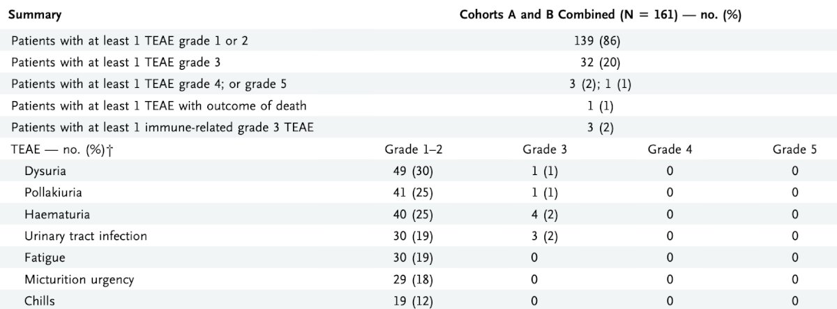 The most common treatment-related adverse events with the combination of N-803 + BCG were lower genitourinary in nature (dysuria, pollakiuria, hematuria). The incidence of grade 3 or worse adverse events was 23%, most frequently hematuria and urinary tract infections (2% each). One patient experienced a grade 5 treatment-related adverse event (cardiac arrest with subsequent death) and 3 had evidence of immune-related adverse events: