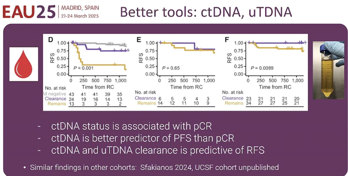 Additionally, with the emergence of novel biomarkers, including circulating tumor DNA (ctDNA) and urinary tumor DNA (utDNA), improved assessment of ‘true’ complete clinical responses will allow for better selection of bladder-sparing candidates.