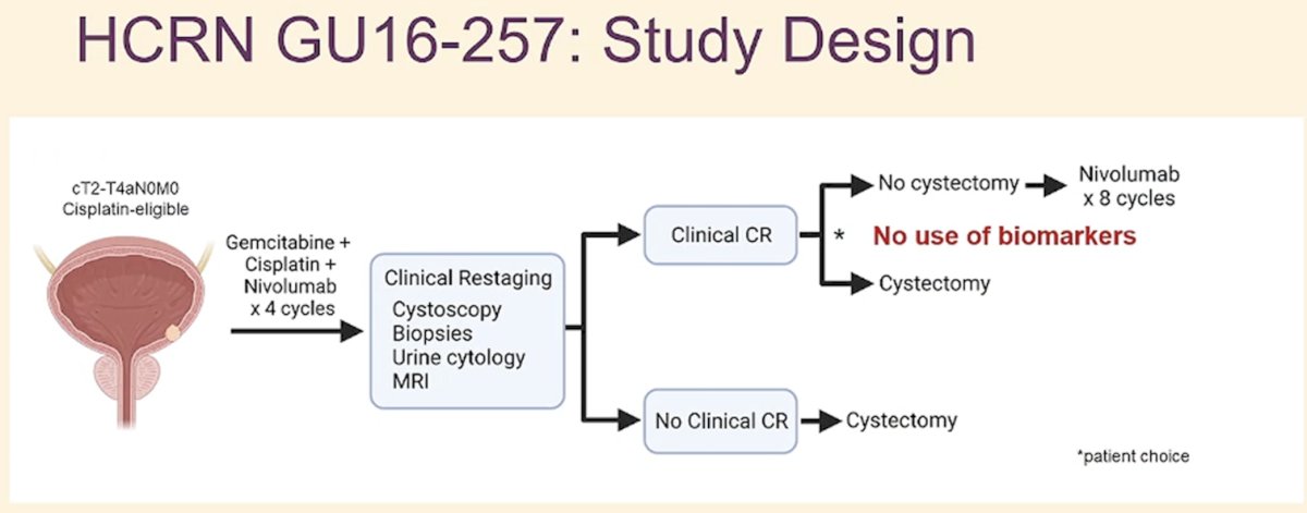 HCRN GU 16-257 study design