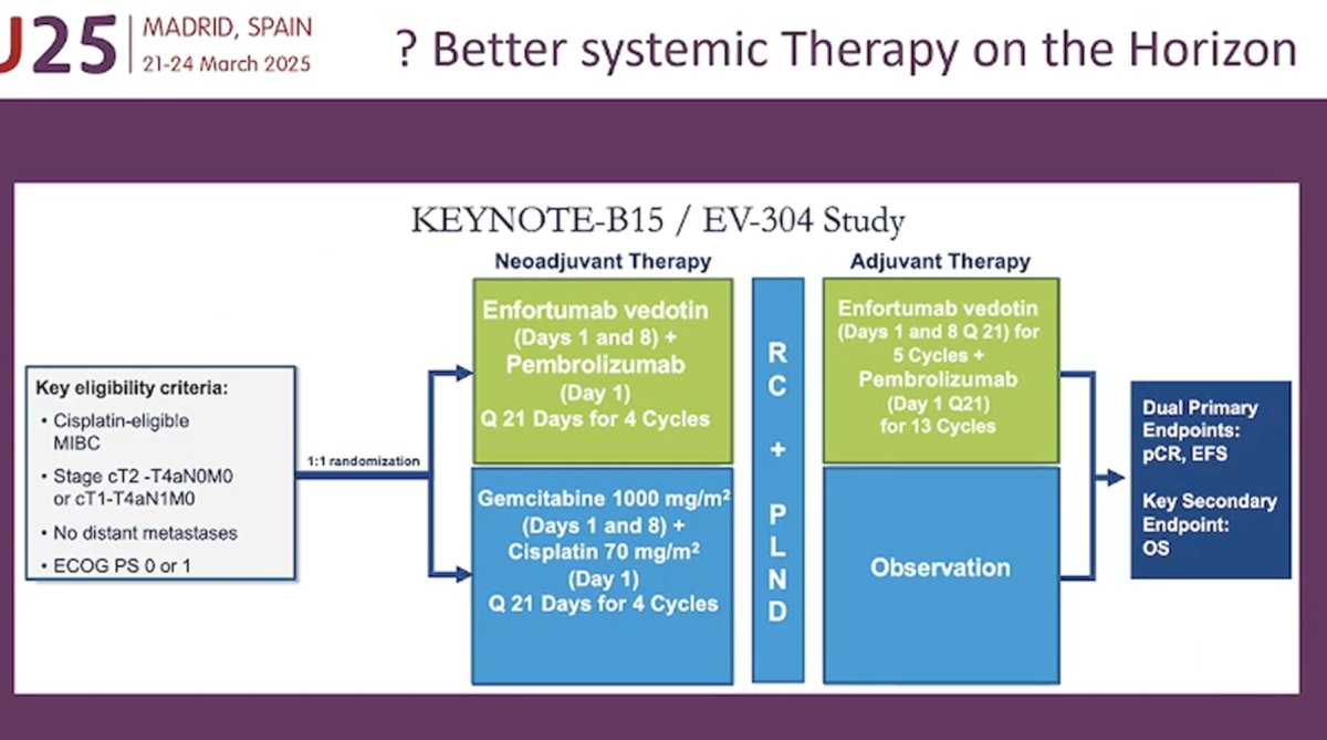 As novel, more effective systemic therapy options emerge, including enfortumab vedotin + pembrolizumab (EV-304), it is likely that the requirement for local consolidation in patients with a clinical complete response will decrease.