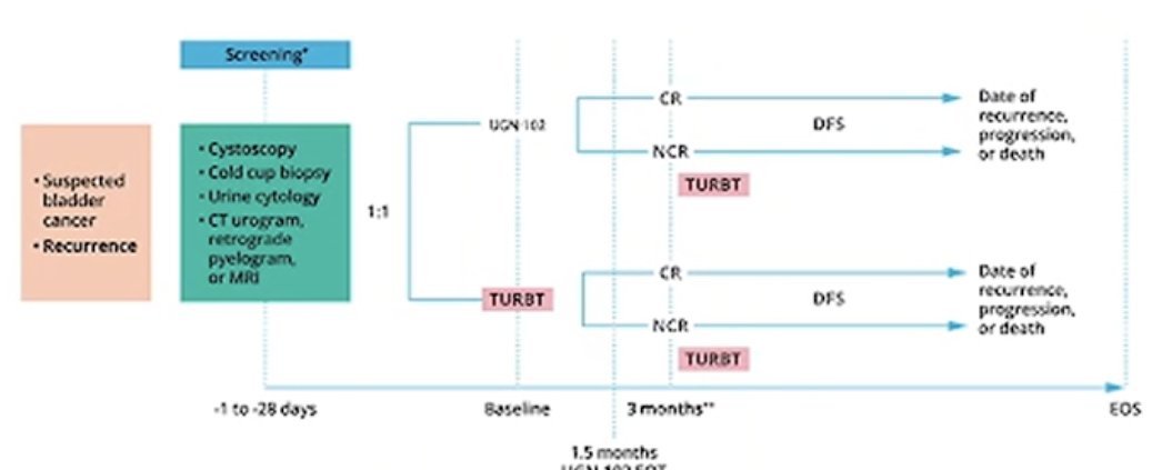 image-10.jpg