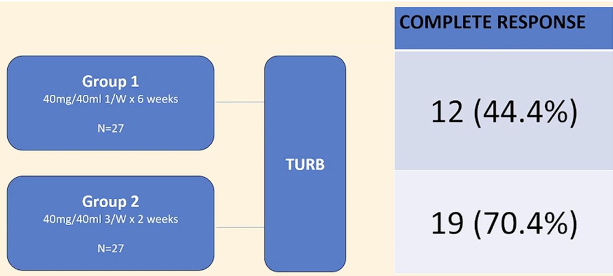 image-6.jpg