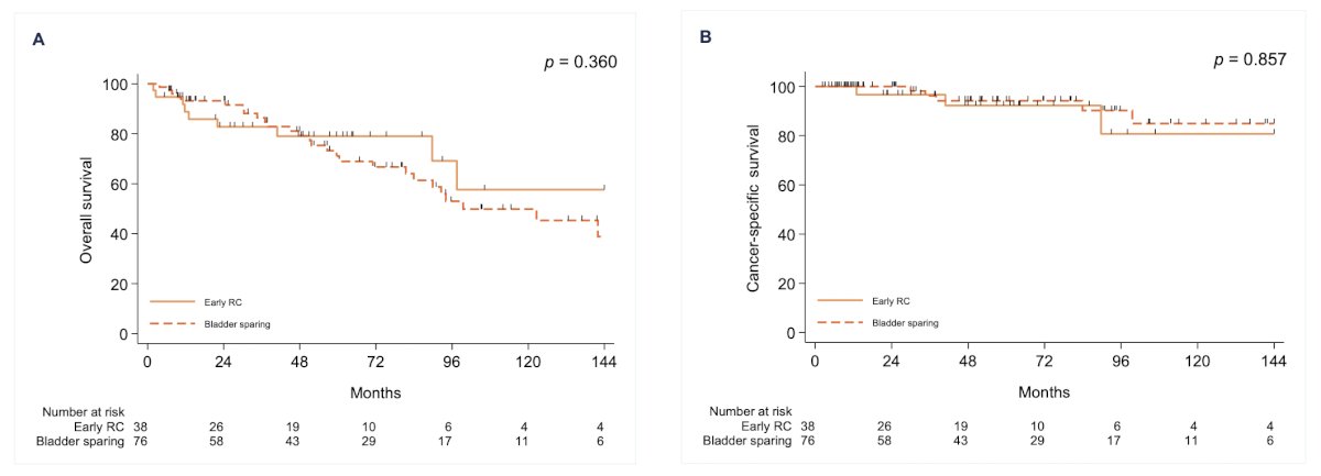 Highlighting work from his group assessing long term survival outcomes of BCG-unresponsive non muscle invasive bladder cancer treated with bladder sparing therapies [5], Dr. Kamat notes that among 114 patients, 38 underwent early radical cystectomy and 76 underwent bladder sparing treatment. There were no significant differences in overall survival (HR 1.40, 95% CI 0.68-2.89,&nbsp;p&nbsp;= 0.4) or cancer specific survival (HR 0.88, 95% CI 0.22-3.55,&nbsp;p&nbsp;= 0.9) between the two groups