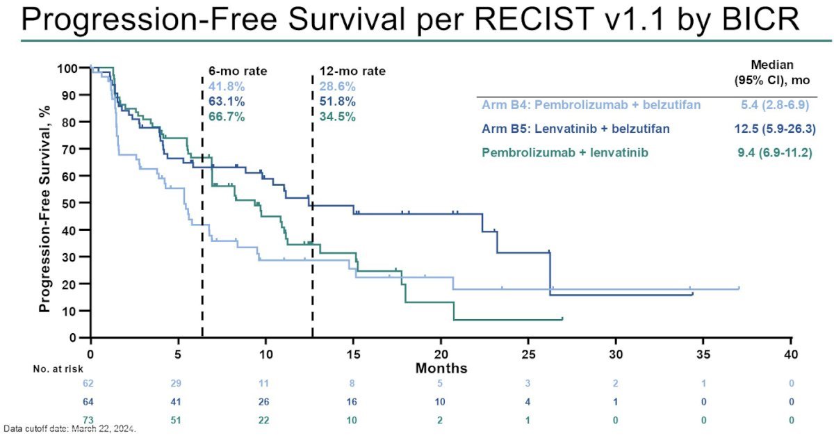 The median PFS rates were highest with the combination of lenvatinib + belzutifan (12.5 months), followed by pembrolizumab + lenvatinib (9.4 months) and pembrolizumab + belzutifan (5.4 months).