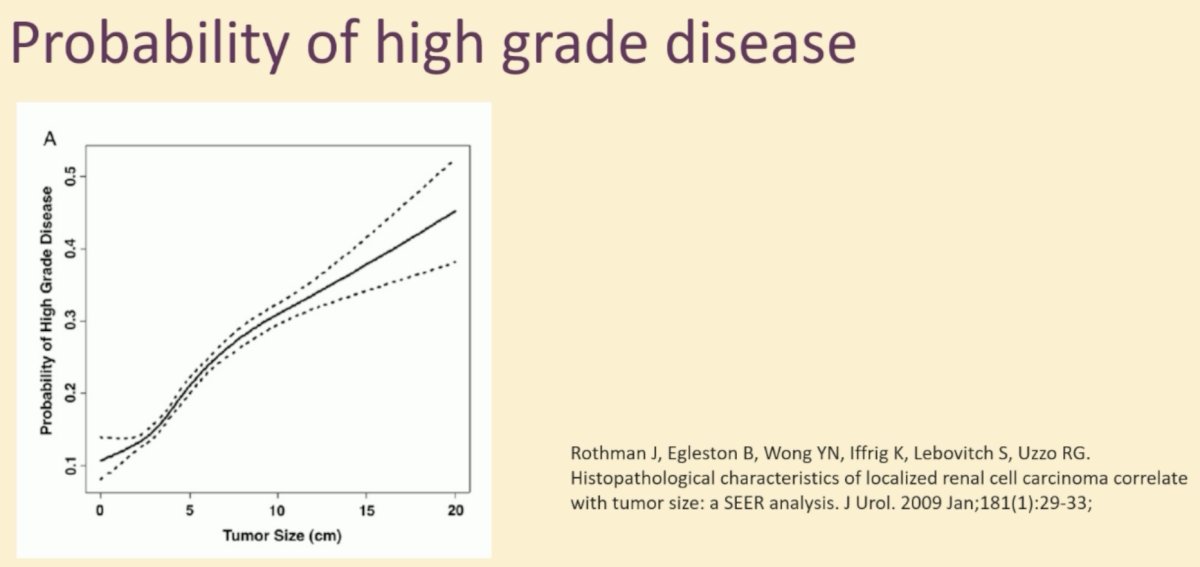 In addition to 20-30% of such lesions being benign in nature, the probability of high-grade disease is low in tumors <4 cm, as demonstrated below.2 As such, given the significant likelihood of benign or low-grade disease, Dr. Kjellman argued that if a biopsy is performed, many of these patients would be candidates for surveillance.